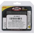 Picture of Pivot Works PIV Wheel Bearing Kit - 25-1420-P