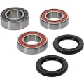 Picture of Pivot Works PIV Wheel Bearing Kit - 25-1420-P