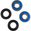 Picture of Pivot Works Premium Wheel Bearing