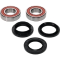 Picture of Pivot Works PIV Wheel Bearing Kit - 25-1542-P