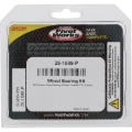 Picture of Pivot Works PIV Wheel Bearing Kit - 25-1589-P
