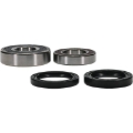 Picture of Pivot Works PIV Wheel Bearing Kit - 25-1689-P
