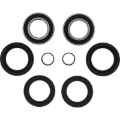 Picture of Pivot Works PIV Wheel Bearing Kit - PWFWK-H14-040