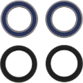 Picture of Pivot Works PIV Wheel Bearing Kit - PWFWK-T11-521