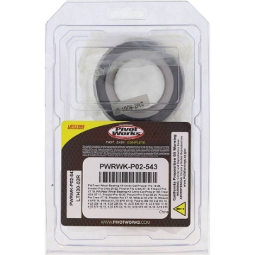Picture of Pivot Works PIV Wheel Bearing Kit - PWRWK-P02-543