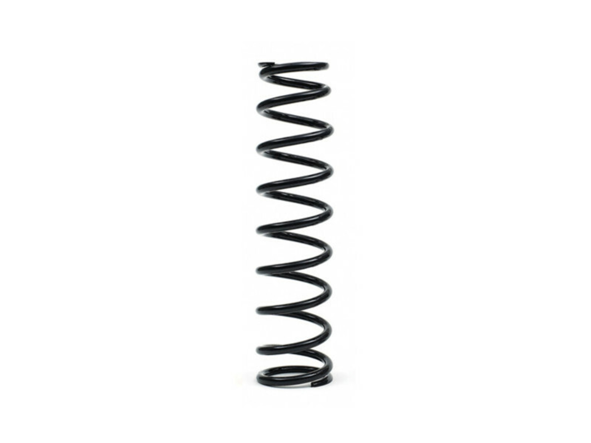 Picture of EPI Springs Coilover Springs - WE325128