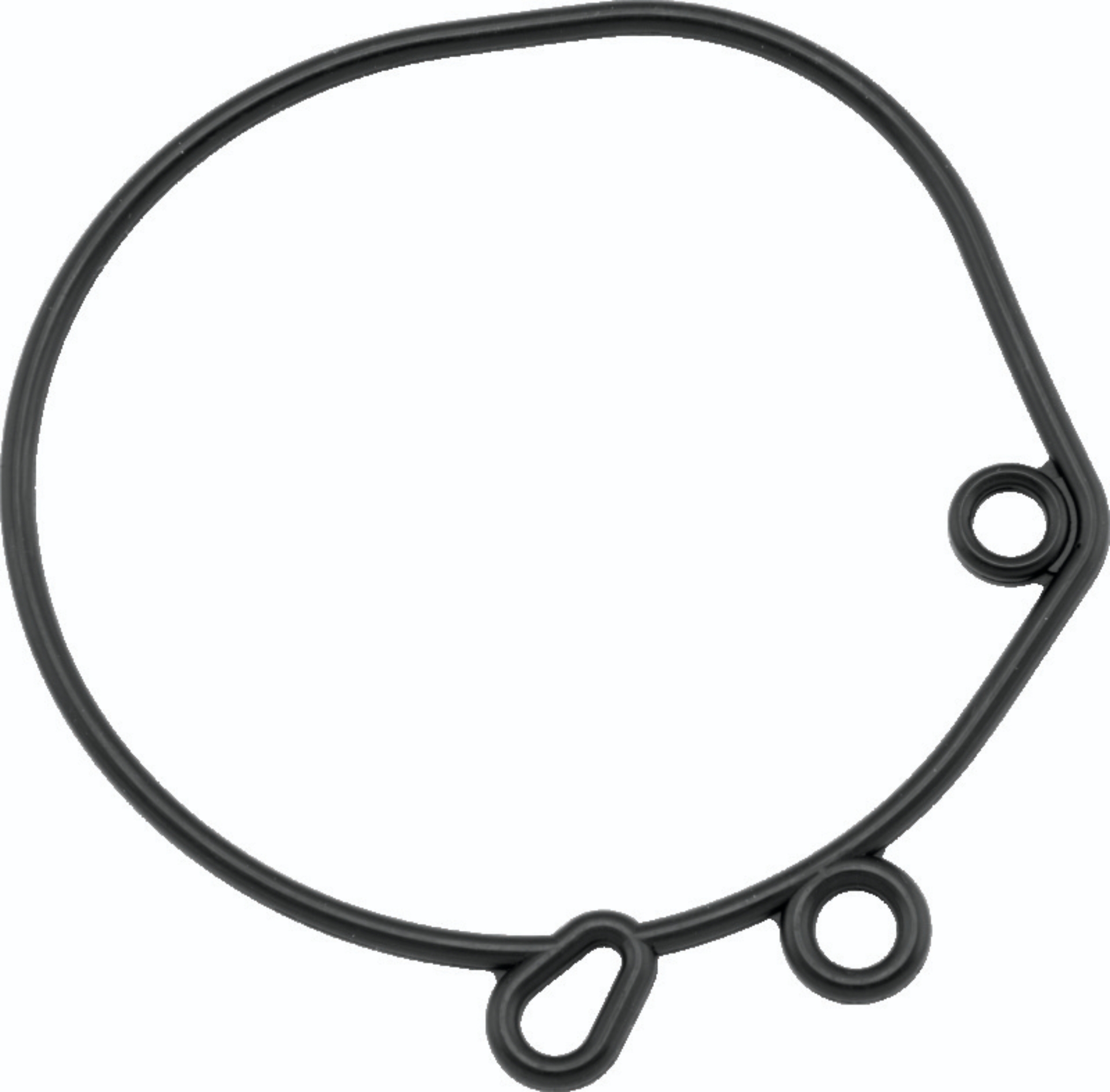 Picture of TwinPower TWP Carb Rebuild Kits Carburetor Rebuild Components - 493354