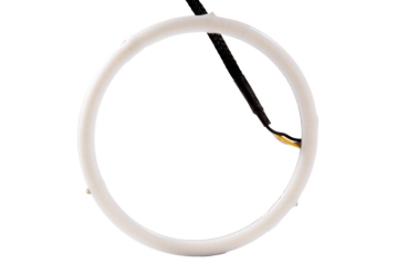 Picture of Diode Dynamics DIO Halo Ring Bulb - DD2065S