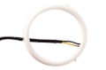Picture of Diode Dynamics DIO Halo Ring Bulb - DD2062S