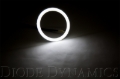 Picture of Diode Dynamics DIO Halo Ring Bulb - DD2058