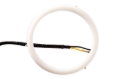 Picture of Diode Dynamics DIO Halo Ring Bulb - DD2050