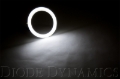 Picture of Diode Dynamics DIO Halo Ring Bulb - DD2048