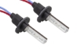 Picture of Diode Dynamics DIO Replacement Bulbs - DD1203P
