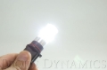 Picture of Diode Dynamics DIO Replacement Bulbs - DD0188P