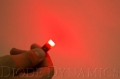Picture of Diode Dynamics DIO Replacement Bulbs - DD0030F
