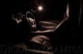 Picture of Diode Dynamics DIO Replacement Bulbs - DD0019S