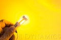 Picture of Diode Dynamics DIO Replacement Bulbs - DD0015P