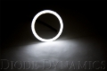 Picture of Diode Dynamics DIO Halo Ring Bulb - DD2155