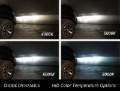 Picture of Diode Dynamics DIO Replacement Bulbs - DD1035P