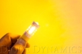 Picture of Diode Dynamics DIO Replacement Bulbs - DD0058P