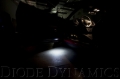 Picture of Diode Dynamics DIO Replacement Bulbs - DD0333P