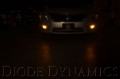 Picture of Diode Dynamics DIO Replacement Bulbs - DD0110P