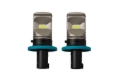Picture of Diode Dynamics DIO Replacement Bulbs - DD0435P