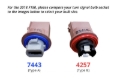 Picture of Diode Dynamics DIO Replacement Bulbs - DD0462P