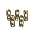Picture of Wiseco WIS Clutch Spring Kits Clutch Rebuild Kits - CSK007
