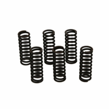 Picture of Wiseco WIS Clutch Spring Kits Clutch Rebuild Kits - CSK040