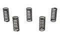 Picture of Wiseco WIS Clutch Spring Kits Clutch Rebuild Kits - CSK046