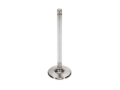 Picture of Race  Chrysler 340 Ex. Vlv Kit - 1.600 in. Dia.,4.970 in. O/A ,.3715 in. Stem