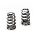 Picture of Supertech SPT Conical Valve Spring Kits Valve Springs, Retainers - SPRK-BMS63B