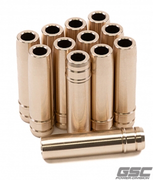 Picture of GSC Power Division GSC Exhaust Valve Guides - 3137.003-1