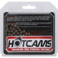 Picture of Hot Cams 1979-1985 Honda ATC 110 110cc Roller chain