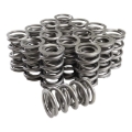 Picture of SET, DUAL SPRING, 1.550 OD, 1.900 IN, .740 LIFT, 550 LBS/IN, SUPERFINISH, SR