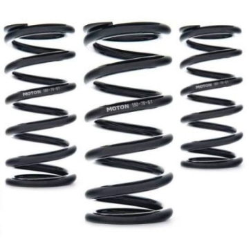 Picture of AST Linear Race Springs - 200mm Length x 120 N/mm Rate x 51 mm ID - Single