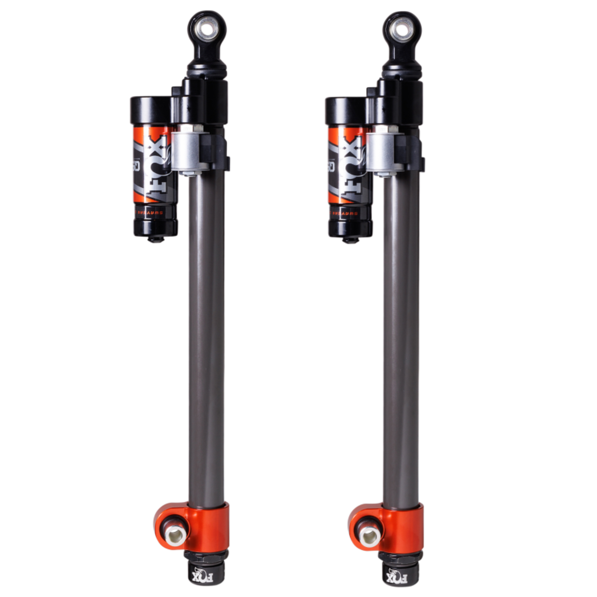 Picture of Fox Polaris AM 2024 Pro R QSE Links - Rear