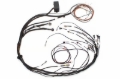 Picture of Haltech Elite 1000/1500 Terminated Main Harness Only