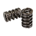 Picture of SET, DUAL SPRING W/ DAMPER, 1.442 OD, 1.800 IH, .600 LIFT, 391 LBS/IN, FT/HR