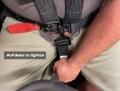 Picture of PRP 5.2 Harness - Gold