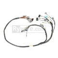 Picture of Rywire Honda B-Series Mil-Spec Eng Harn w/OBD2 Dist/Inj (Specs in Notes Adapter Req/Drop Ship Only)