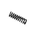 Picture of B3 OE Replacement - Coil Spring
