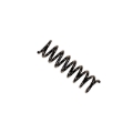 Picture of B3 OE Replacement - Coil Spring