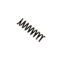 Picture of B3 OE Replacement - Coil Spring