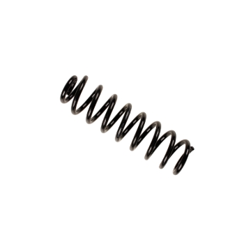 Picture of B3 OE Replacement - Coil Spring