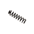 Picture of B3 OE Replacement - Coil Spring