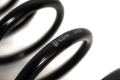 Picture of ICON 21-24 Raptor Triple Rate Overland Coil Spring Kit