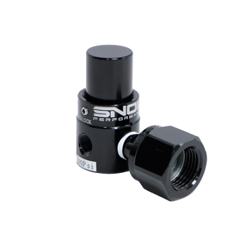 Picture of Snow Performance Dual Outlet Fixed 100 PSI 1/8npt Outlet CO2 Regulator