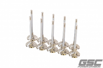 Picture of GSC P-D Audi DAZA 33.9mm Head STD 104mm Long Chrome Polished Intake Valve - Set of 10